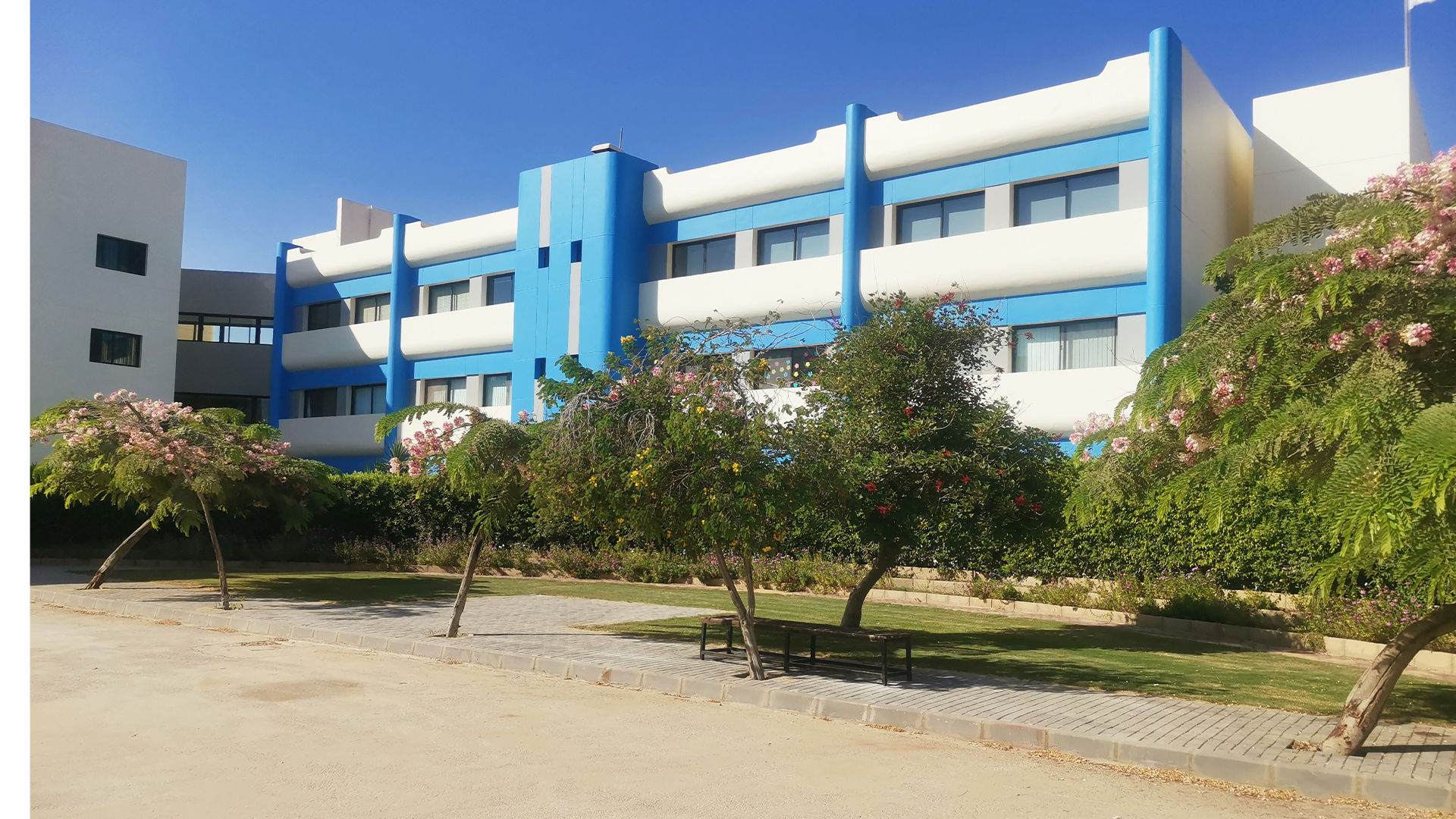 The International School of Choueifat